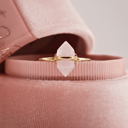 The Magnetic Ring